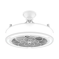 Anderson 22 in. Indoor/Outdoor White Ceiling Fan with light - B07CBRTNFN